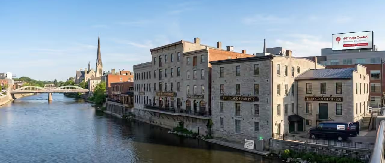 Stone buildings along the Grand River in Galt, Cambridge, with a 401 Pest Control billboard